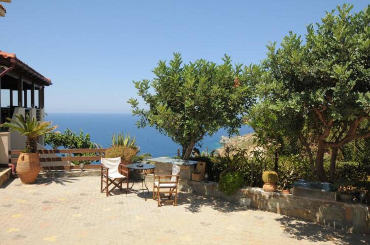 Vitamin Sea Luxury Villas Agia Pelagia Eksteriør billede