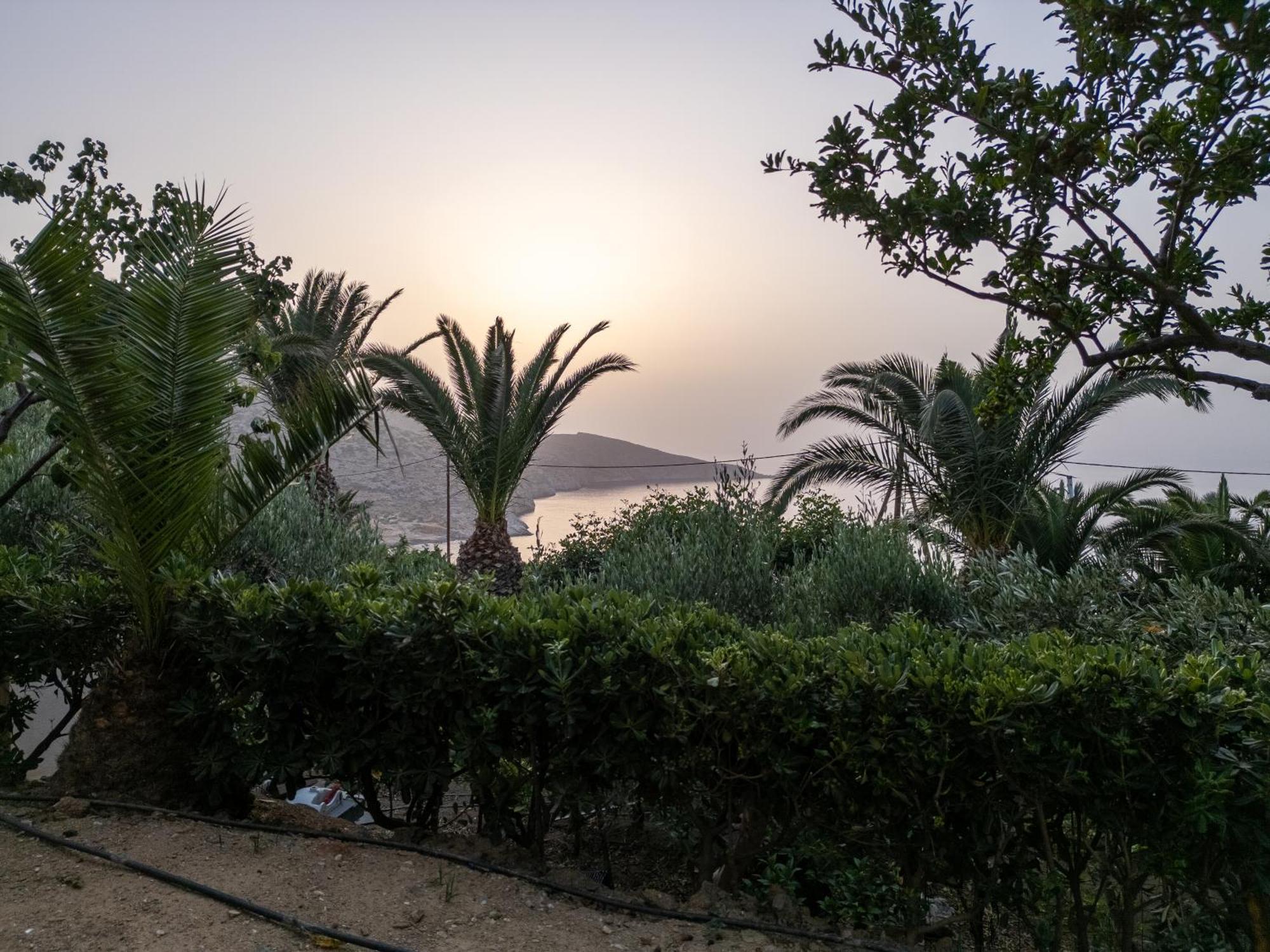 Vitamin Sea Luxury Villas Agia Pelagia Eksteriør billede