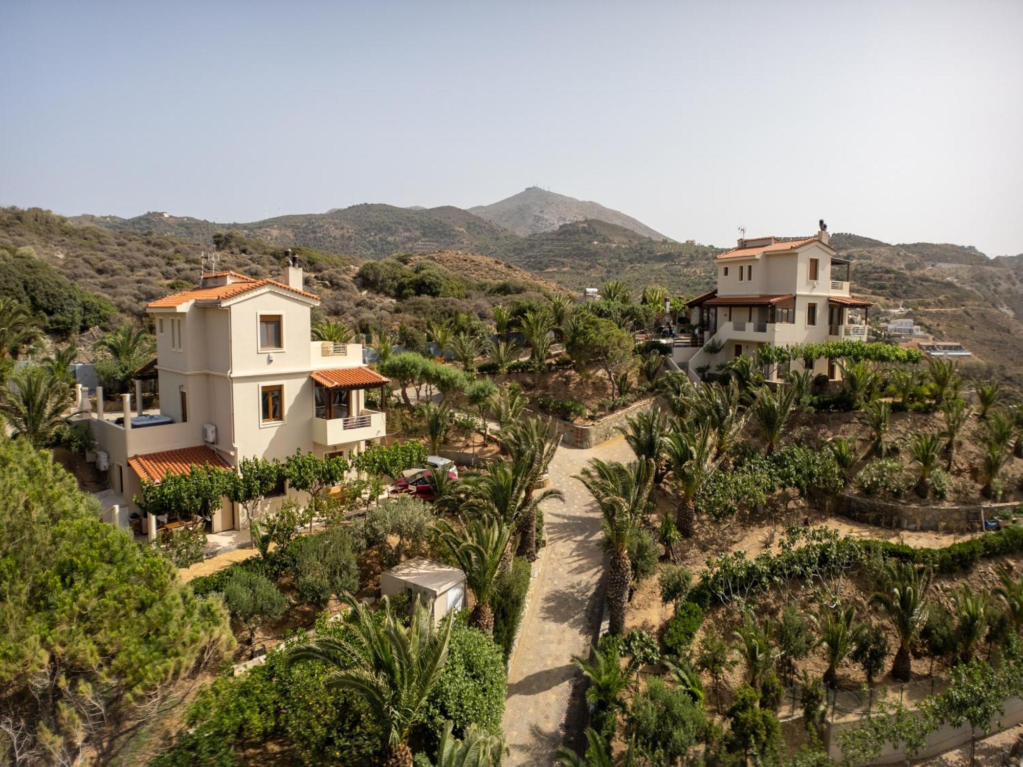 Vitamin Sea Luxury Villas Agia Pelagia Eksteriør billede
